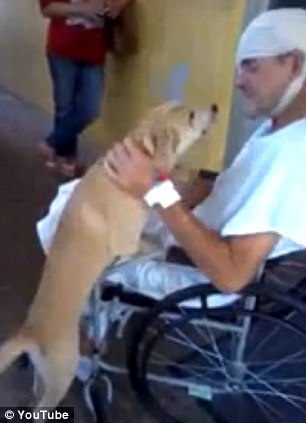 Seco waited outside the hospital for owner da Costa for eight days while he recovered.jpg