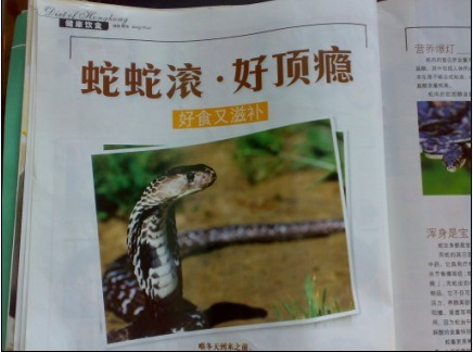 雜誌2.jpg