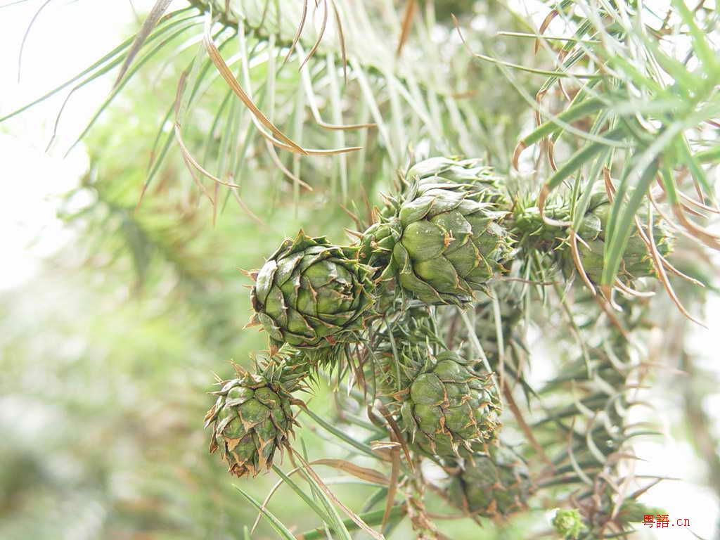 10.15黄沙水库的精彩生物写真