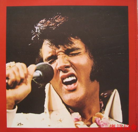 Elvis1973sellp03.jpg