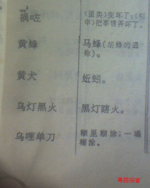一本幾有意思嘅廣州方言讀物-《廣州話與普通話詞語對譯2000例》