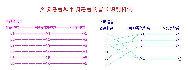 声调语言与字调语言的音节识别机制.jpg